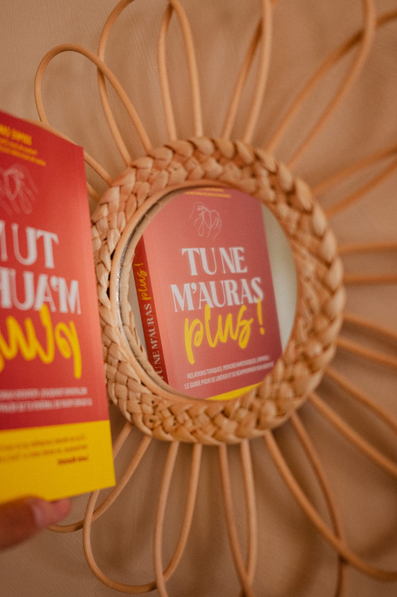 Le livre Tu ne m’auras plus ! devant un miroir en rotin